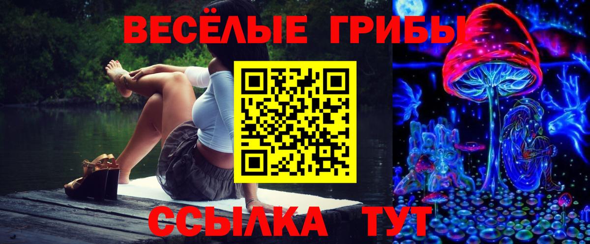 Псилоцибиновые грибы Cubensis Вышний Волочёк